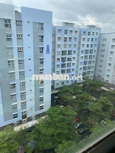 Cho thuê Căn hộ rộng - thoáng đẹp - còn mới