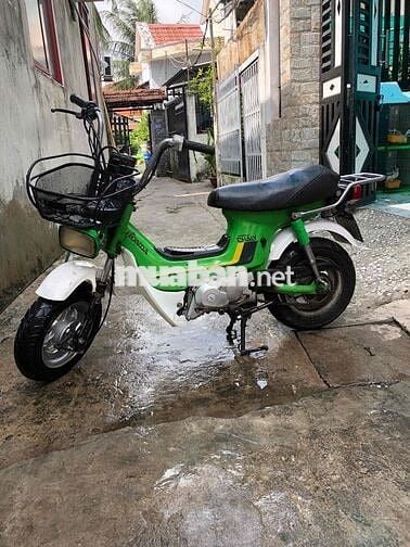 Honda Chaly 81 Xanh lá, Trắng