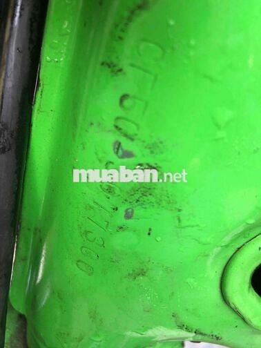 Honda Chaly 81 Xanh lá, Trắng