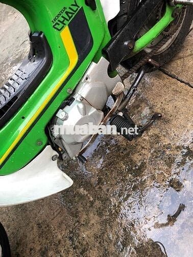 Honda Chaly 81 Xanh lá, Trắng