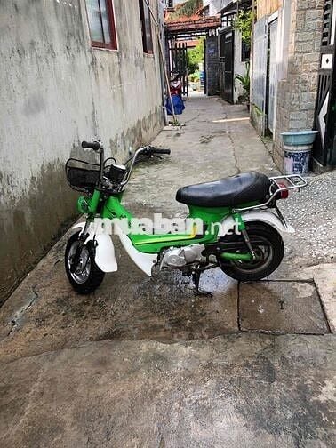 Honda Chaly 81 Xanh lá, Trắng