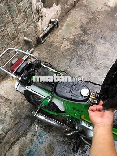 Honda Chaly 81 Xanh lá, Trắng