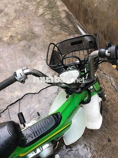 Honda Chaly 81 Xanh lá, Trắng