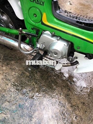 Honda Chaly 81 Xanh lá, Trắng
