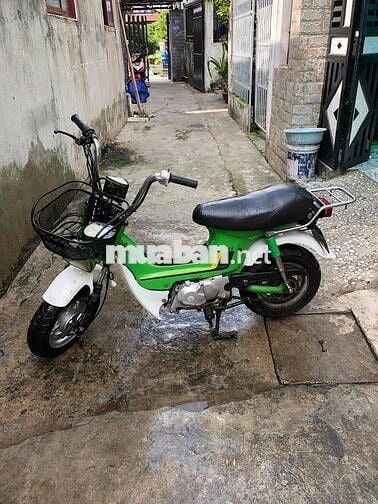 Honda Chaly 81 Xanh lá, Trắng