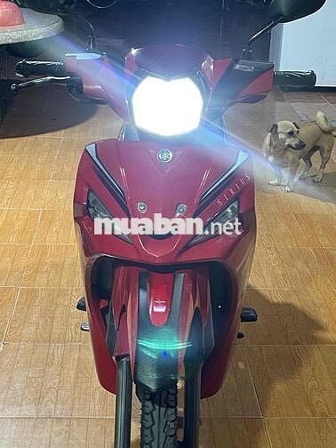 Bán  Sirius Fi 2019 màu Đỏ đen,Bst77 xe đẹp gtdd
