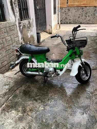 Honda Chaly 81 Xanh lá, Trắng