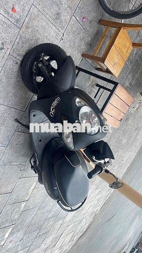 SYM Elite 50 Đen 50cc