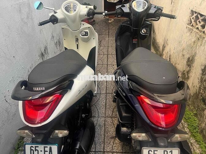 Yamaha Janus Xanh Trắng Còn zin đẹp