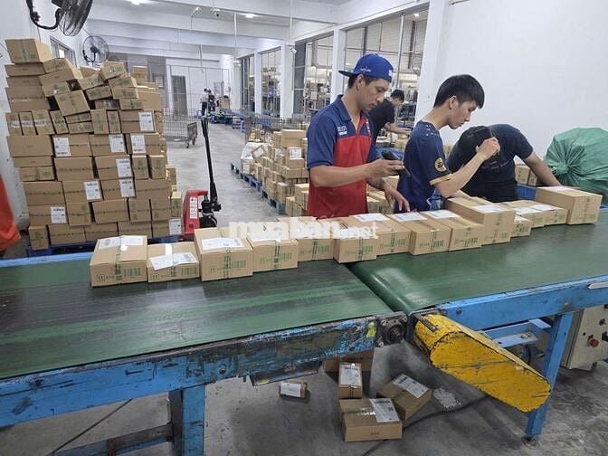 [Bình Tân] Tuyển nhân viên thời vụ - Lương tuần