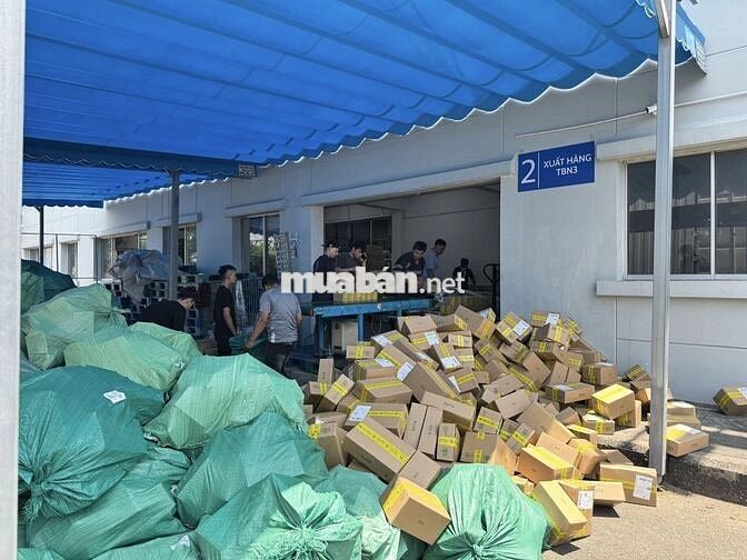 [Bình Tân] Tuyển nhân viên thời vụ - Lương tuần