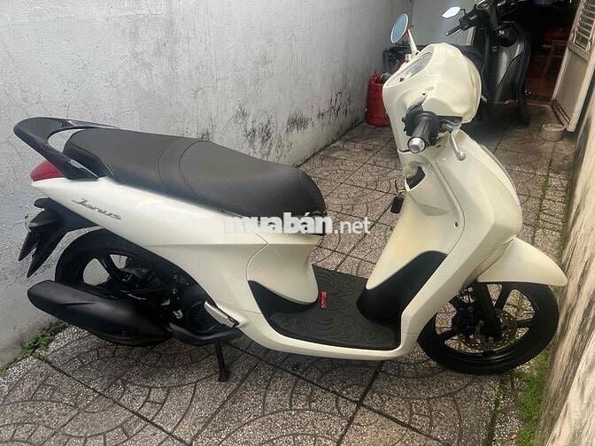 Yamaha Janus Xanh Trắng Còn zin đẹp