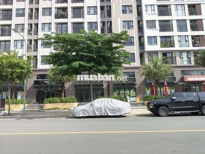 CẦN THUÊ SHOPHOUSE PICITY HOÀN THIỆN CƠ BẢN NHƯ CĂN HỘ