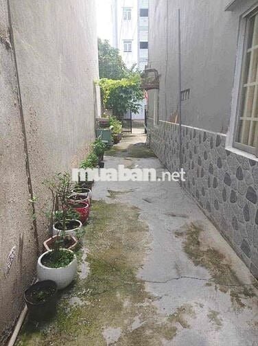 cho thuê nhà nguyên căn tl 40 q12 trệt lầu điện nước chính giá 3tr5