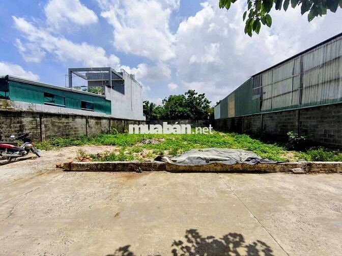 Đất nền SHR 1/Đặng Thị Thanh-Tân Hiệp-Hóc Môn.Dt 5x28~139m2. 4,05ty
