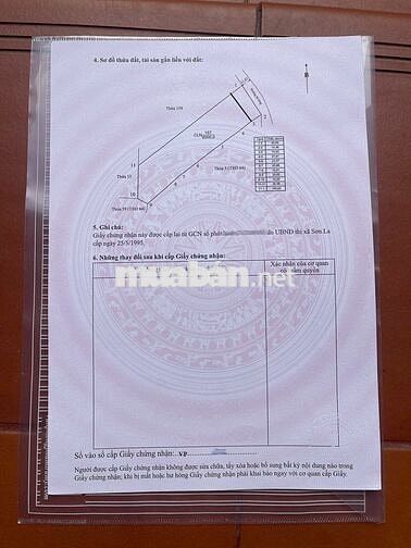 CHUYỂN NHƯỢNG 6.000M² VƯỜN BẢN PÁT, CHIỀNG SINH