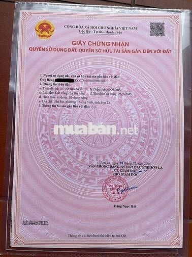 CHUYỂN NHƯỢNG 6.000M² VƯỜN BẢN PÁT, CHIỀNG SINH
