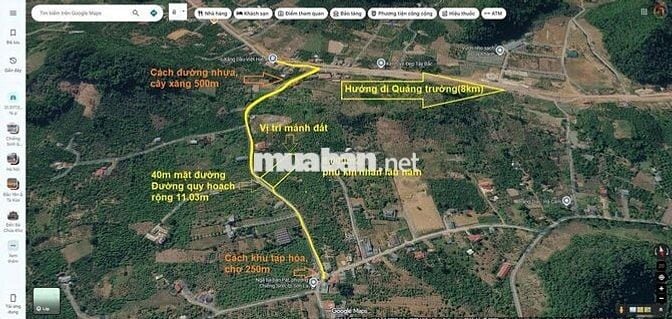 CHUYỂN NHƯỢNG 6.000M² VƯỜN BẢN PÁT, CHIỀNG SINH