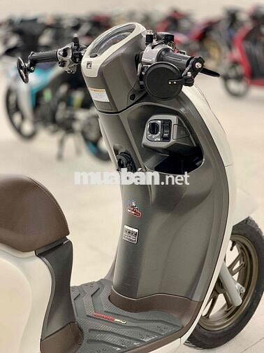 Honda Scoopy 2024 Trắng nhám BSTP Chính Chủ Xe Đẹp
