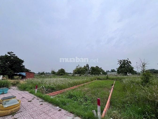 Đất nằm trong lòng khu dân cư, thuận tiện di chuyển, đầu tư sinh lời