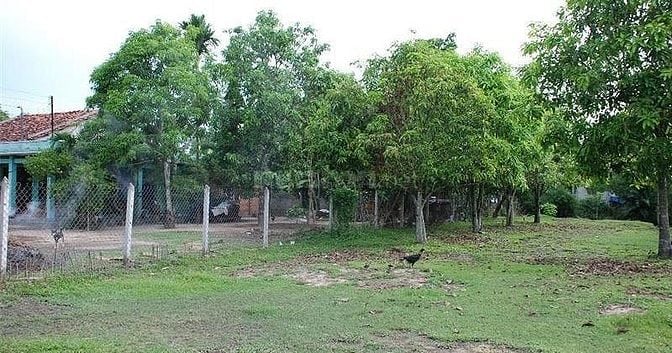 Bán mảnh vườn 505m2 có sổ sẵn 