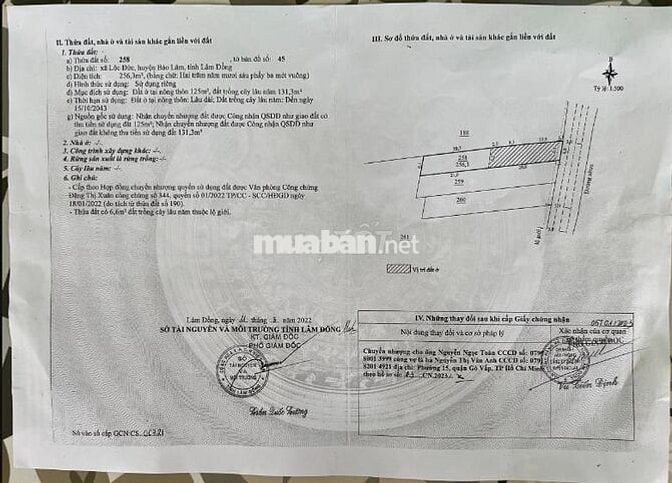 BÁN GỘP CẶP ĐẤT LIỀN KỀ SÁT CHỢ LỘC ĐỨC - BẢO LÂM - SẴN 260M2 THỔ CƯ