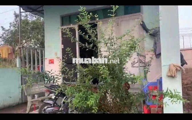 cần bán khu dãy phòng trọ 10 phòng trọ 1 phòng Kiốt giá rẻ