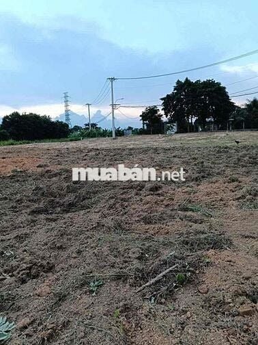 🆘🆘🆘Bán 1.000m² đất vườn Cây Trôm – Nhỉnh 2 tỷ ( chỉ hơn 2tr/m²)🆘🆘🆘 • V