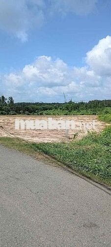 🆘🆘🆘Bán 1.000m² đất vườn Cây Trôm – Nhỉnh 2 tỷ ( chỉ hơn 2tr/m²)🆘🆘🆘 • V
