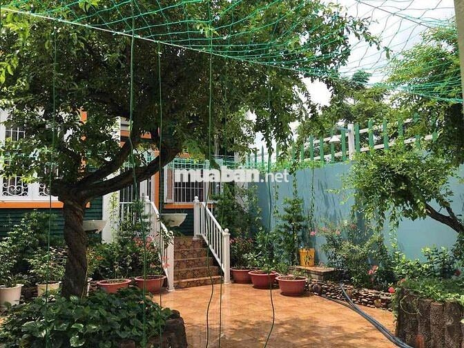 nhà mặt tiền ngang 7x40 có tầng lầu đúc kiên cố kiểu tân cổ điển