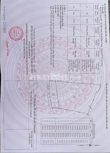 Bán 10300m2 đất vườn tại xã Tân Nhựt, gần Bệnh viện Nhi Đồng Thành Phố