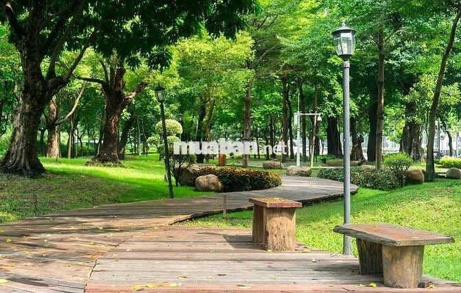 Cần thanh khoản lô đất 133m2(5x26)-550 triệu Trần Tử Bình Củ Chi shr