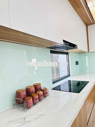 bán hoặc cho Thuê nhà villa hồ bơi, có sân vườn, sổ hồng riêng