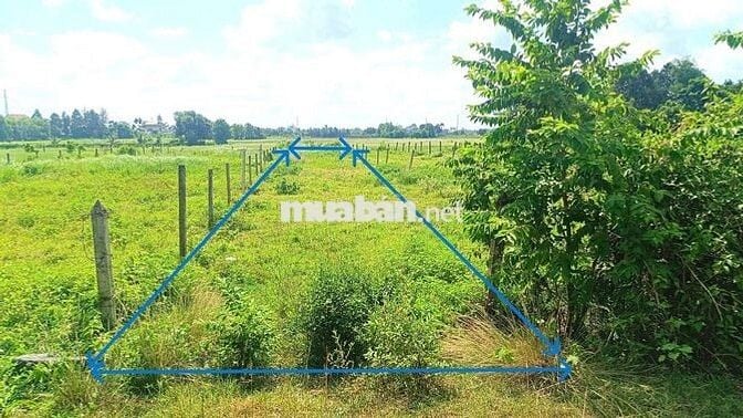 Bán gấp 302m2 thổ cư/ 830tr Đường Cây Trôm Mỹ Khánh, xã Thái Mỹ Củ Chi