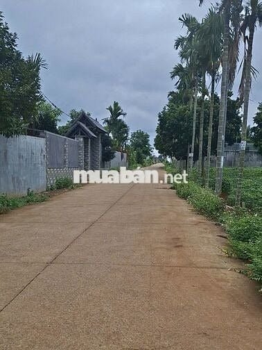 Bán đất đối diện KCN Tân An Buôn Ma Thuột-giá 1,48 tỷ