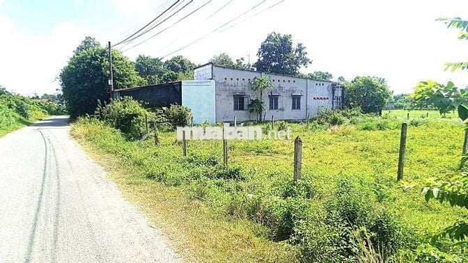 Bán gấp 302m2 thổ cư/ 830tr Đường Cây Trôm Mỹ Khánh, xã Thái Mỹ Củ Chi