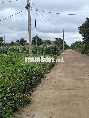 Bán đất đối diện KCN Tân An Buôn Ma Thuột-giá 1,48 tỷ