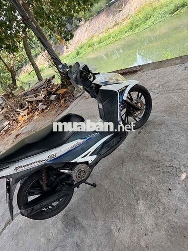 Suzuki Hayate Trắng