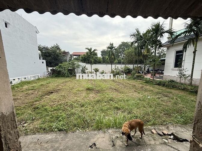 Chính chủ bán đất Thôn Thụ Ích 4, Liên Châu