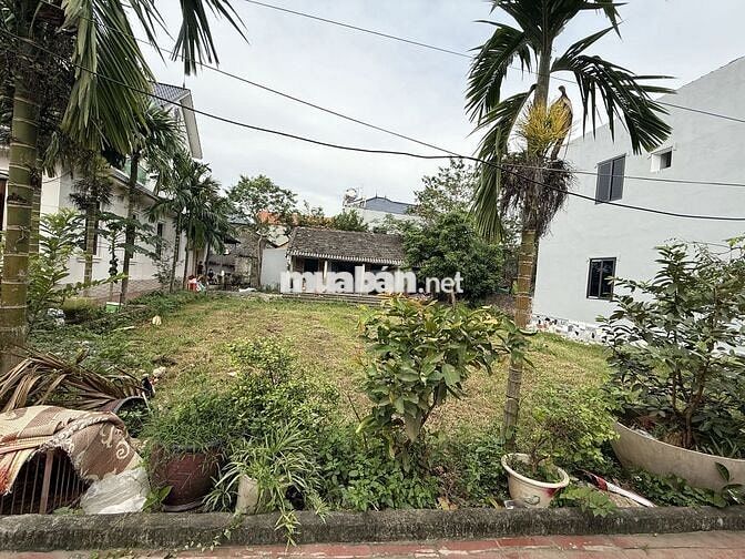 Chính chủ bán đất Thôn Thụ Ích 4, Liên Châu