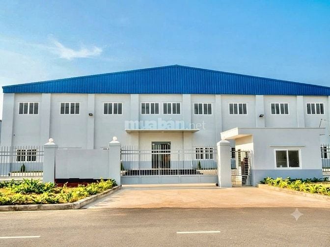 Kho xưởng 8.000m² Hương Lộ 2, Bình Tân, kho 5.000m², sân 3.000m²