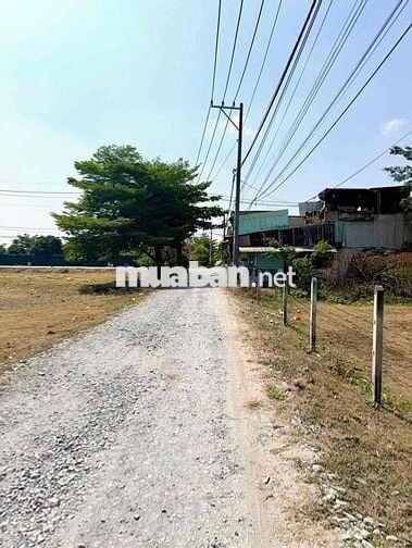 đất Khu Dân Cư . gần KCN Vĩnh Lộc . Tân Bình  Chín Chủ