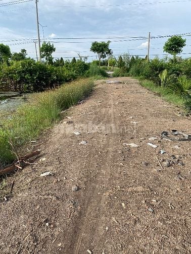 Bán đất cần giờ,MT sông rạch cá gấu lớn 