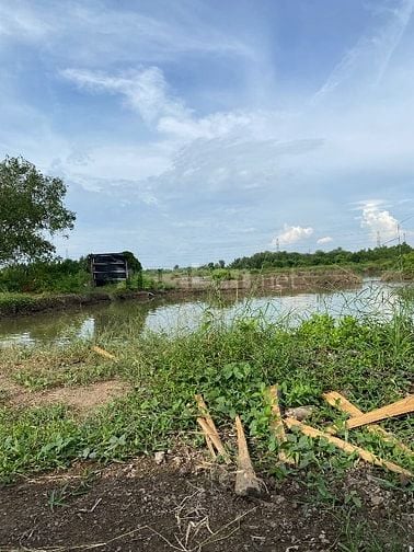 Bán đất cần giờ,MT sông rạch cá gấu lớn 