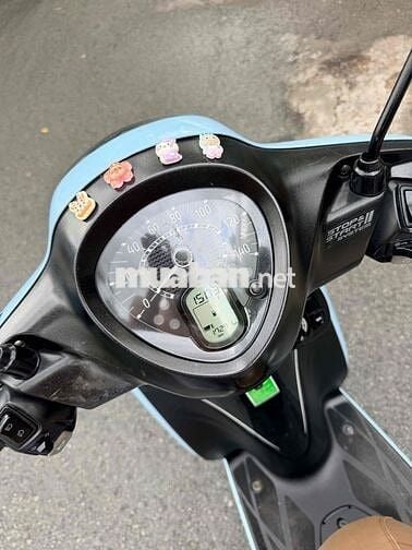 Yamaha Janus 2023 Xanh 17.00 km