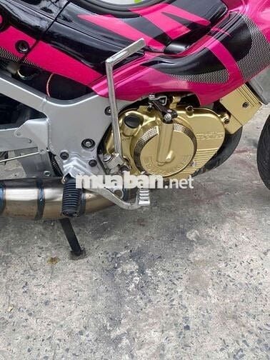 Suzuki Siger Hồng, Đen