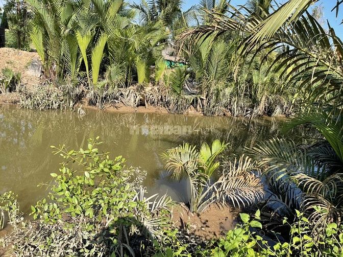 SANG LẠI VƯỜN NHÃN 70.000M2 ĐẤT CÓ SẴN THỔ CƯ CẠNH KHU DU LỊCH APSARA