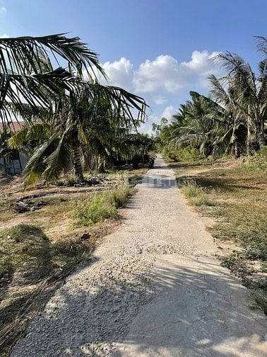 SANG LẠI VƯỜN NHÃN 70.000M2 ĐẤT CÓ SẴN THỔ CƯ CẠNH KHU DU LỊCH APSARA