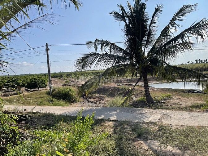 SANG LẠI VƯỜN NHÃN 70.000M2 ĐẤT CÓ SẴN THỔ CƯ CẠNH KHU DU LỊCH APSARA