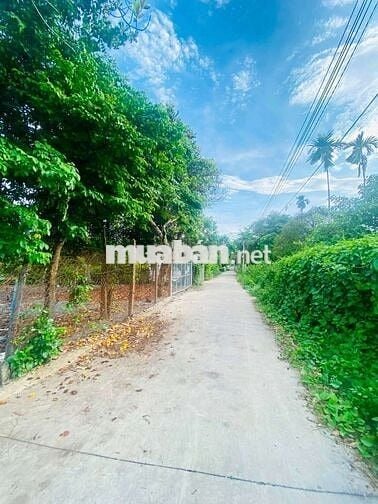 ĐẤT VƯỜN BÌNH NHÂM 05 ,LÁI THIÊU ,TP HCM 